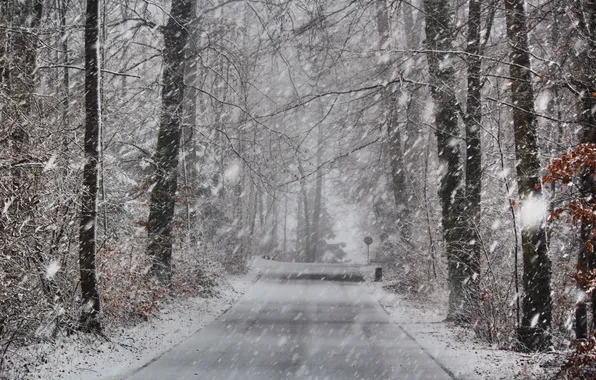 Picture winter, road, snow