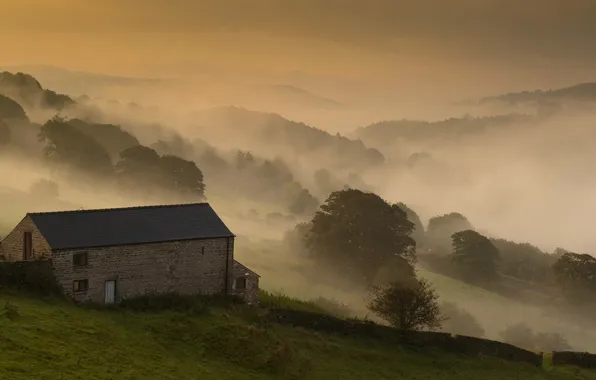 Field, landscape, fog, house, morning