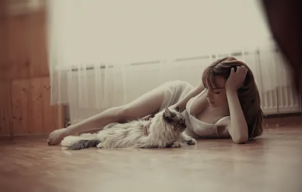 Cat, girl, lie