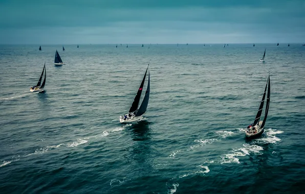 Sea, movement, sport, regatta, sports yachts, sailing race