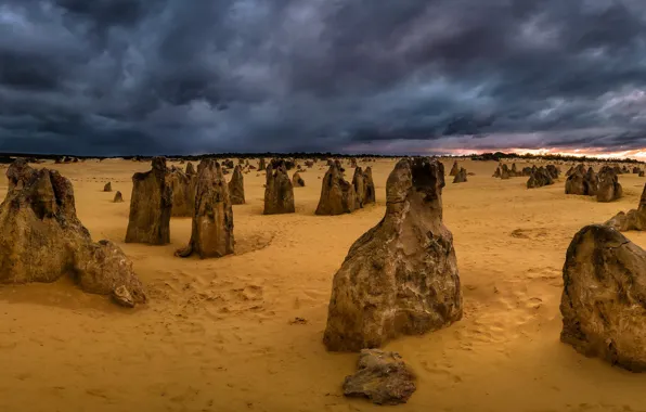 Western Australia, National Park Nambung, limestone formations