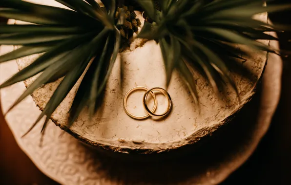 Picture love, plant, ring, gold, wedding, wedding