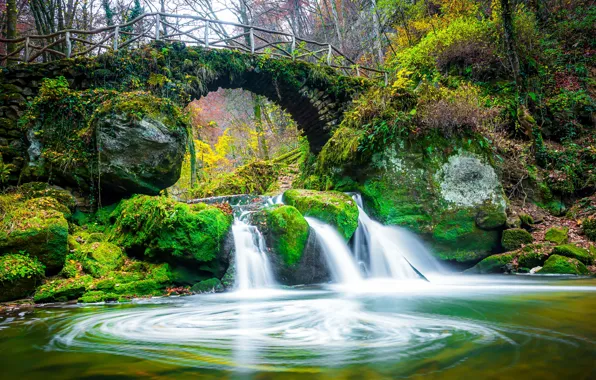 Autumn, forest, leaves, trees, bridge, Park, stream, stones