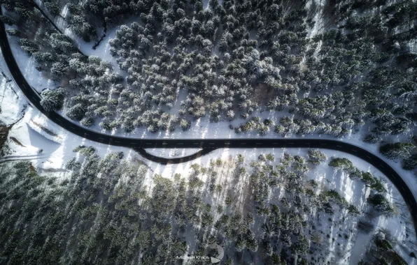 Winter, road, forest, light, nature, shadows, the view from the top