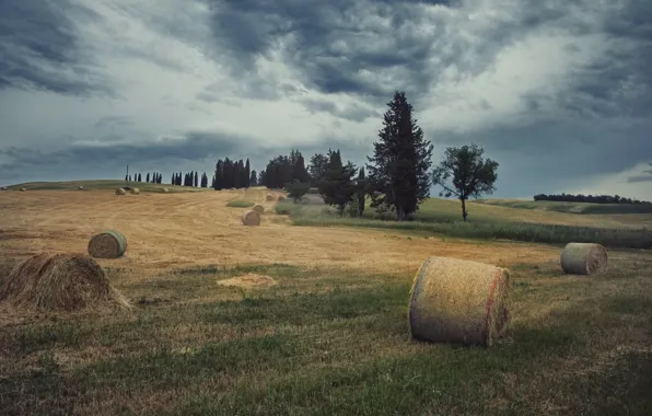 Field, trees, hay, bales