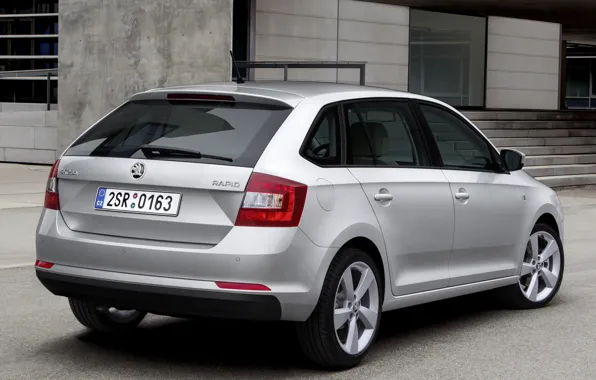 Grey, back, skoda, spaceback, rapid