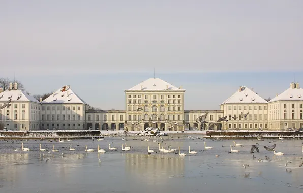 Winter, birds, lake, Palace, swans, palace