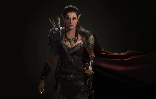 Elf, warrior, art, elf, Elf Warrior, Juan Manuel Alonso