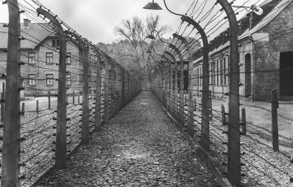 Lights, Camp, World War 2, WW2, World War Two, Karsten Winegeart, Jews, War Crimes