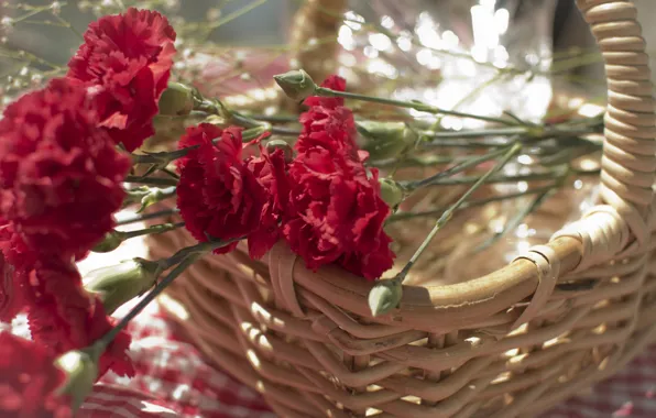 Flowers, petals, red, clove, basket. basket