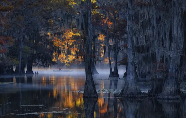 Picture river, forest, nature
