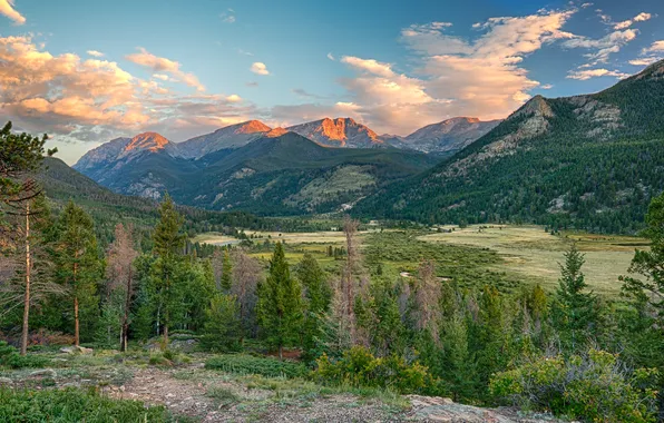Forest, mountains, nature, Colorado, Rocky Mountain National Park, Fall River Road