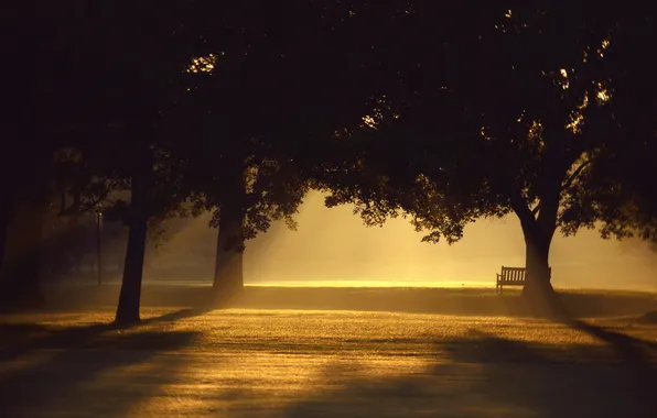 Picture rays, light, trees, bench, Park, the evening, shop