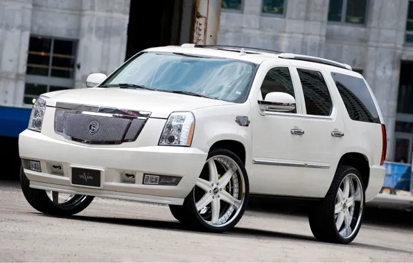 Picture white, tuning, the building, Windows, white, wheels, drives, Cadillac