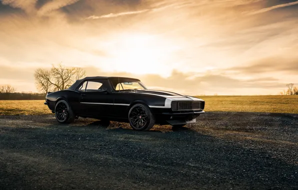 Nature, style, black, camaro, chevrolet