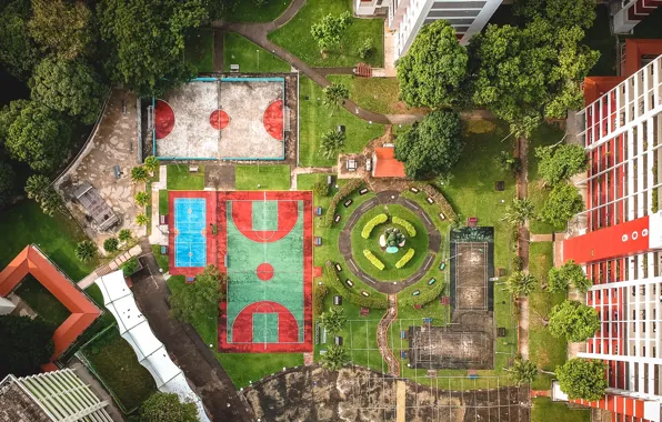 Home, Height, Yard, Playground