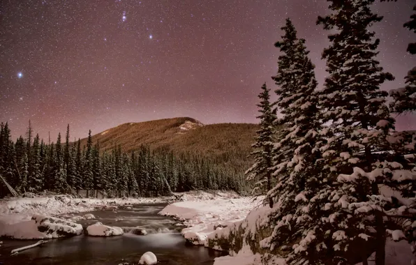 Winter, the sky, stars, snow, trees, mountains, night, river