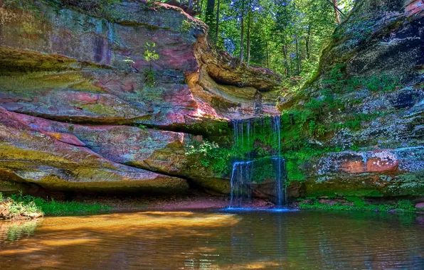 Forest, trees, lake, stream, rocks, color