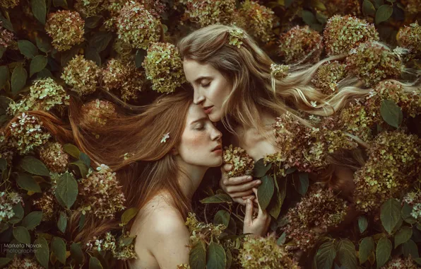 Flowers, mood, blonde, red, a couple, two girls, redhead, hydrangea