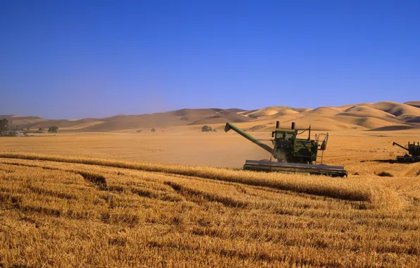 Field, harvest, kombain