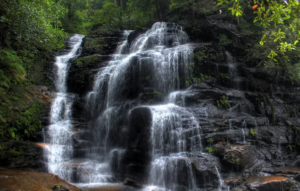 Forest, trees, stones, waterfall, Australia, Wentworth Falls