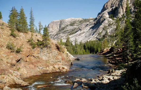Picture forest, nature, stones, mountain river, Yosemite National Park, YNP, Tuolumne River