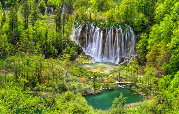 Picture forest, lake, waterfalls, Croatia, Plitvice