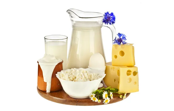 Picture flowers, glass, egg, chamomile, cheese, milk, plate, Board