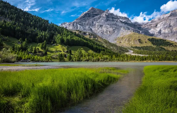 Grass, mountains, lake, Switzerland, Switzerland, Bernese Alps, The Bernese Alps, Lake Derborence