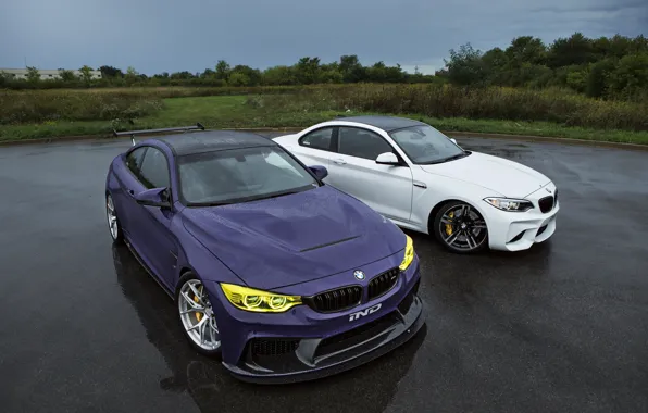 BMW, Tuning, Rain, Cars, IND, 2015-16, M4