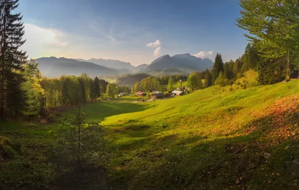 Picture landscape, mountains, nature, fog, home, Germany, Bayern, forest