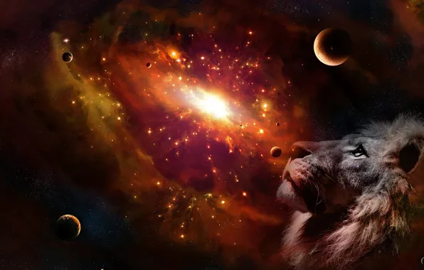The sky, look, face, space, stars, light, rendering, fiction