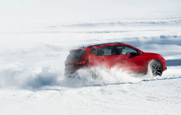 Snow, movement, SUV, Seat, Cupra, Ateca, 2019