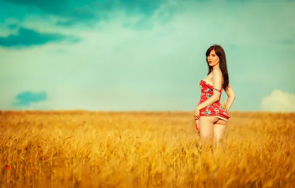 Girl, Sky, Ass, Body, View, Field, Dress, Wheat