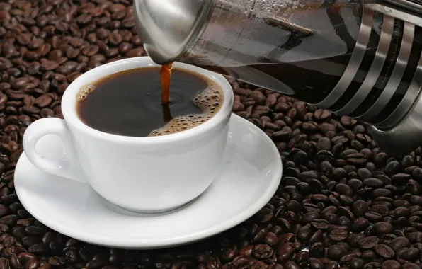 Foam, coffee, Cup, saucer, cup, grain, Coffee, coffee