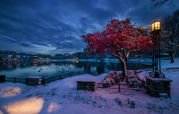 Picture winter, snow, lights, Norway, lantern, Stavanger, Rogaland, the evening twilight