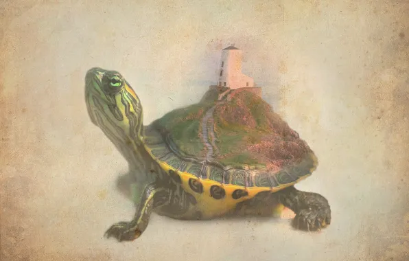 Landscape, nature, fantasy, lighthouse, turtle, the illusion of nature.