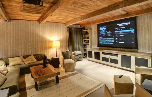 Cinema, home teatre, rustic media room, media room.