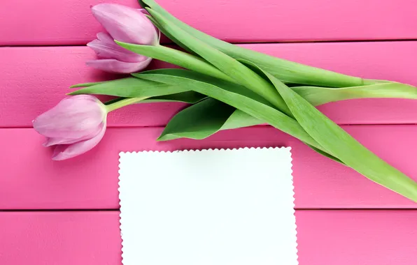 Picture flowers, bouquet, tulips, wood, pink, flowers, tulips, postcard