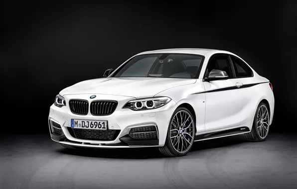 Picture BMW, 2014, 2-Series, Performance Parts, Coupe M