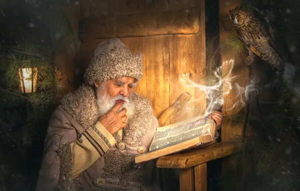 Picture owl, bird, magic, book, the old man, Santa Claus, owl, Alexander Yakimenko