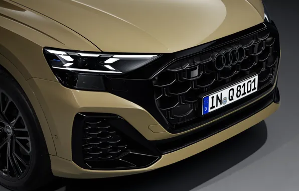 Audi, close-up, grille, Q8, Audi Q8 2024