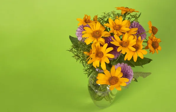 Picture bouquet, transparent, vase, green background