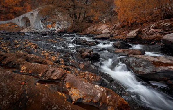 Autumn, forest, landscape, mountains, bridge, nature, river, stones