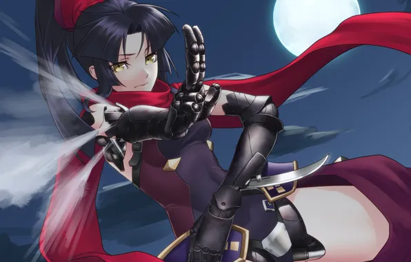 Girl, anime, art, cyborg, assassin, Fate / Grand Order