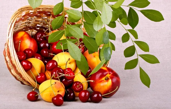 Picture summer, leaves, nature, cherry, berries, basket, food, branch