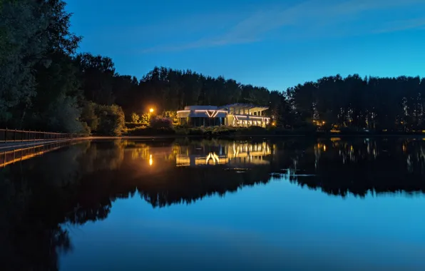 Reflection, Saint Petersburg, Swan Lake, Swan Pond