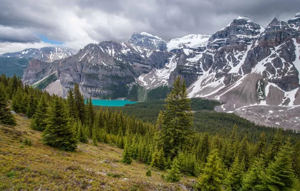Forest, mountains, Canada, Albert, Banff National Park, Alberta, Canada, Moraine Lake