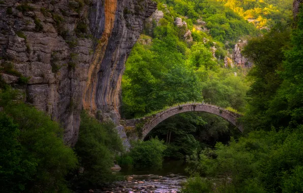Forest, bridge, rocks, thickets, shore, arch, pond, shrubs