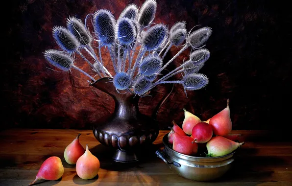 Picture plant, pitcher, fruit, still life, pear